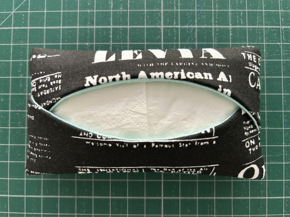 obal na kapesníky (14)